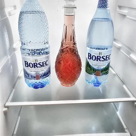 公寓 ”modern Apartment” Old 康斯坦察